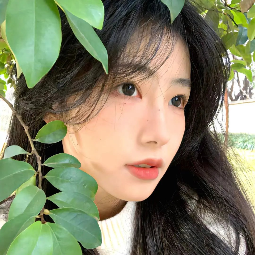 悠然见南山 在线观看封面