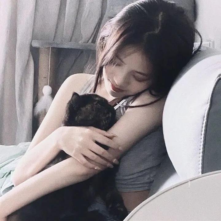 我的会长大人 在线观看封面